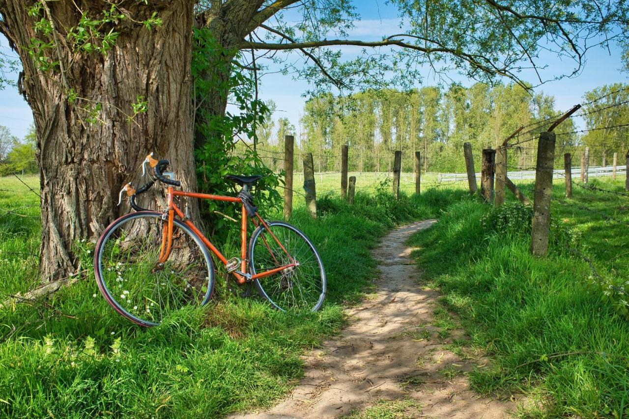 Larbrenville Gites Citadins En Centre-Ville Historique La Charité-sur-Loire Buitenkant foto